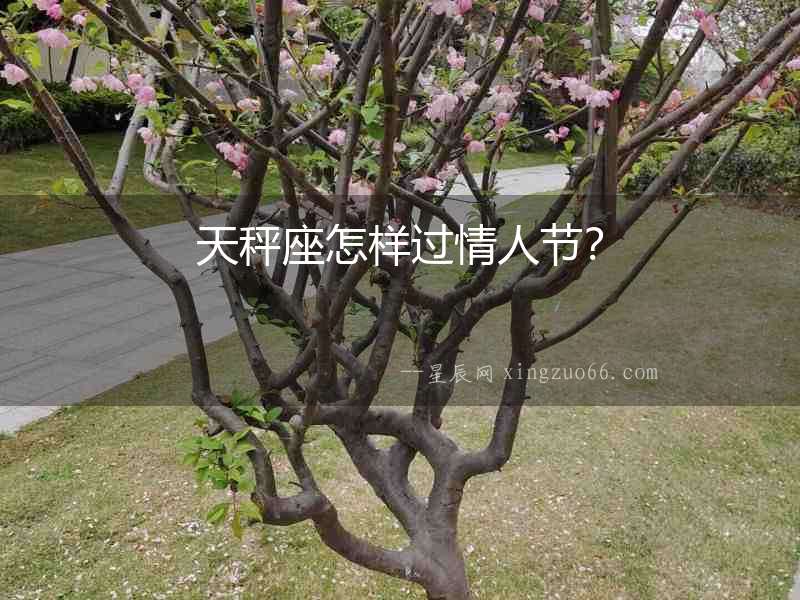 天秤座怎樣過情人節？