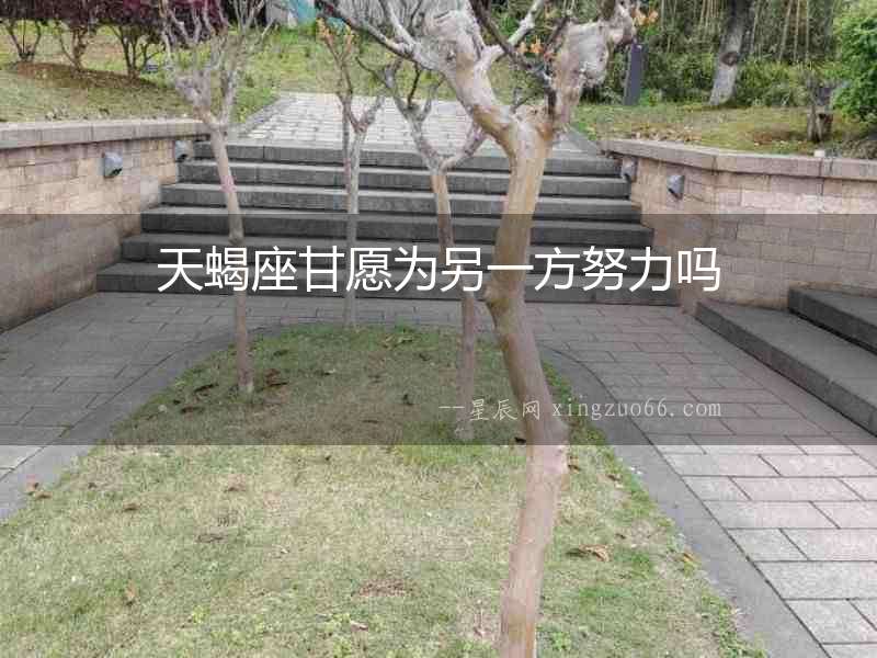 天蝎座甘愿為另一方努力嗎