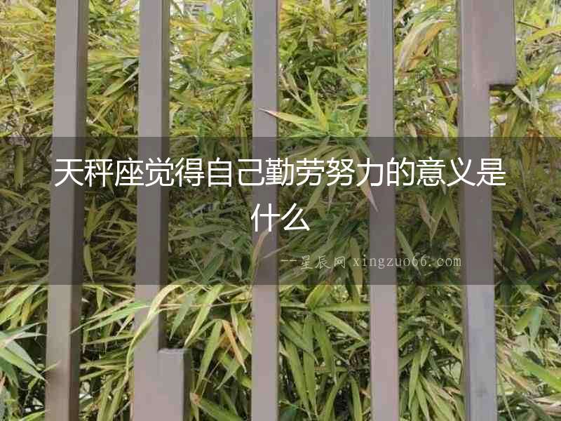天秤座覺(jué)得自己勤勞努力的意義是什么