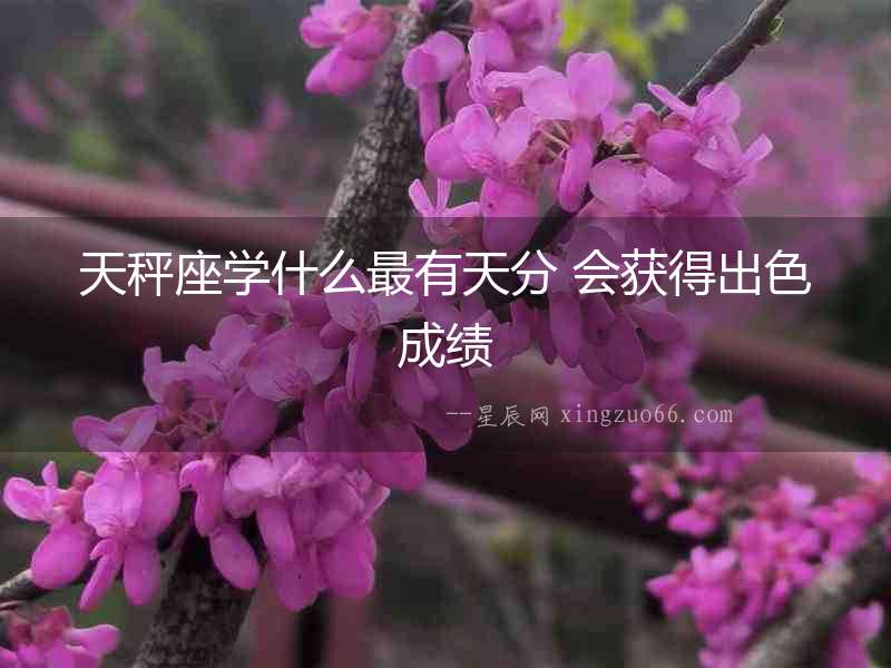天秤座學(xué)什么最有天分 會(huì)獲得出色成績