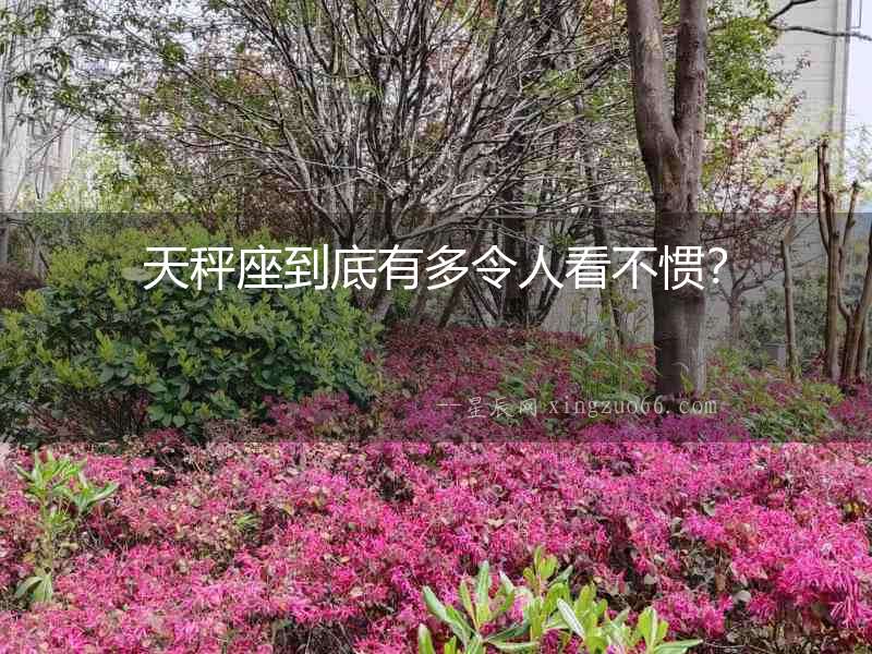 天秤座到底有多令人看不慣？