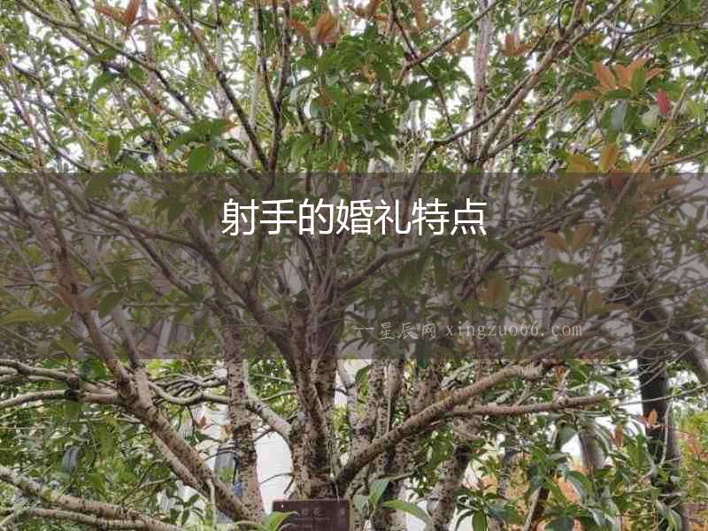 射手的婚禮特點