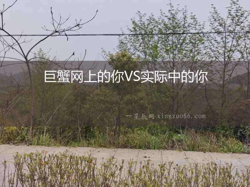 巨蟹網(wǎng)上的你VS實(shí)際中的你