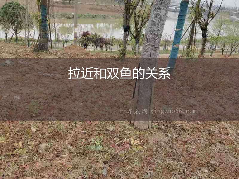拉近和雙魚(yú)的關(guān)系