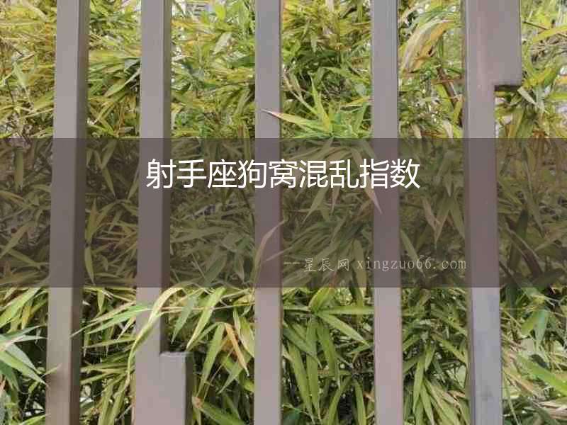 射手座狗窩混亂指數(shù)