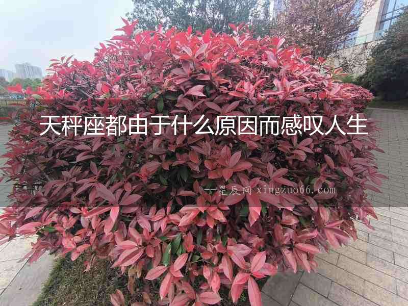 天秤座都由于什么原因而感嘆人生