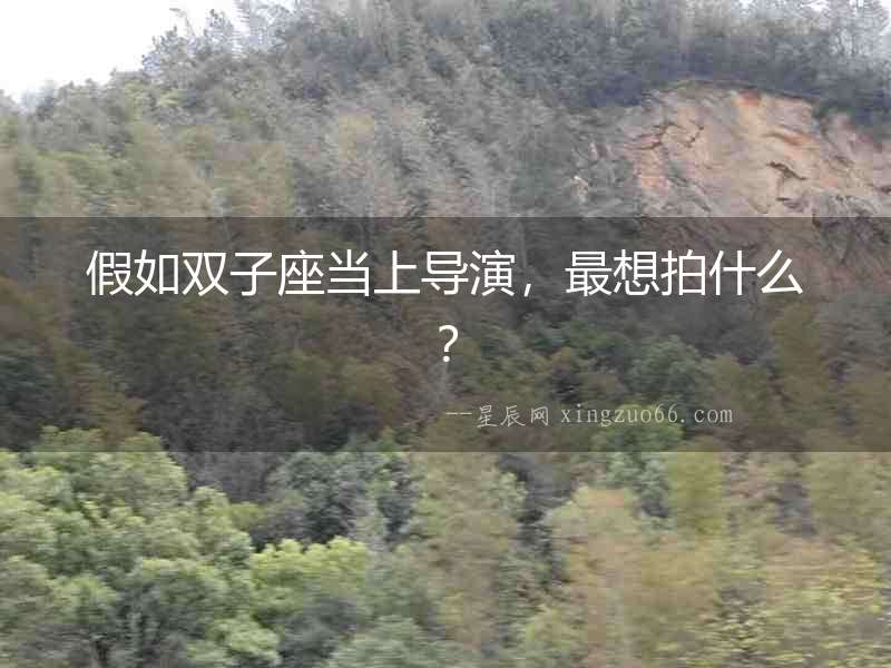 假如雙子座當(dāng)上導(dǎo)演，最想拍什么？
