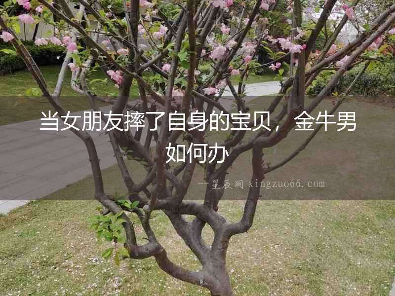 當女朋友摔了自身的寶貝，金牛男如何辦
