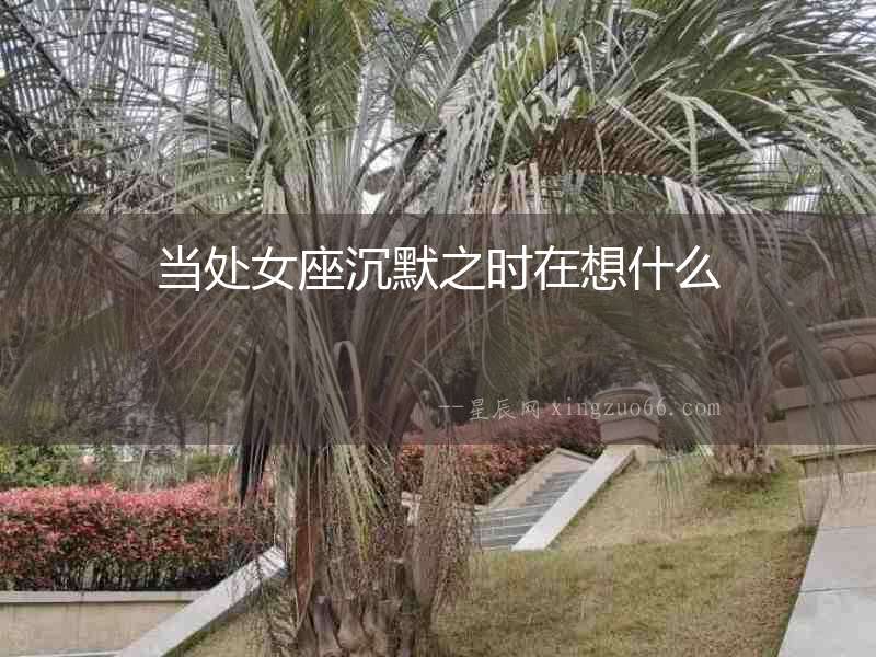 當(dāng)處女座沉默之時(shí)在想什么