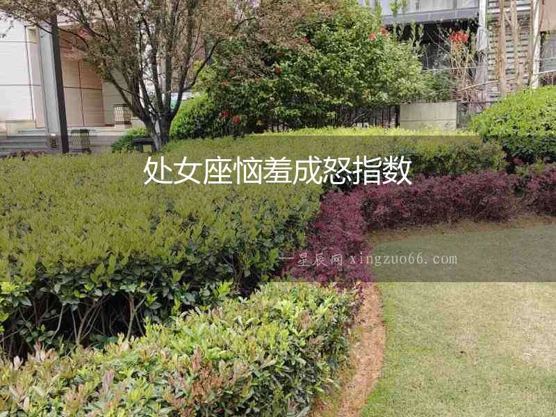 處女座惱羞成怒指數(shù)