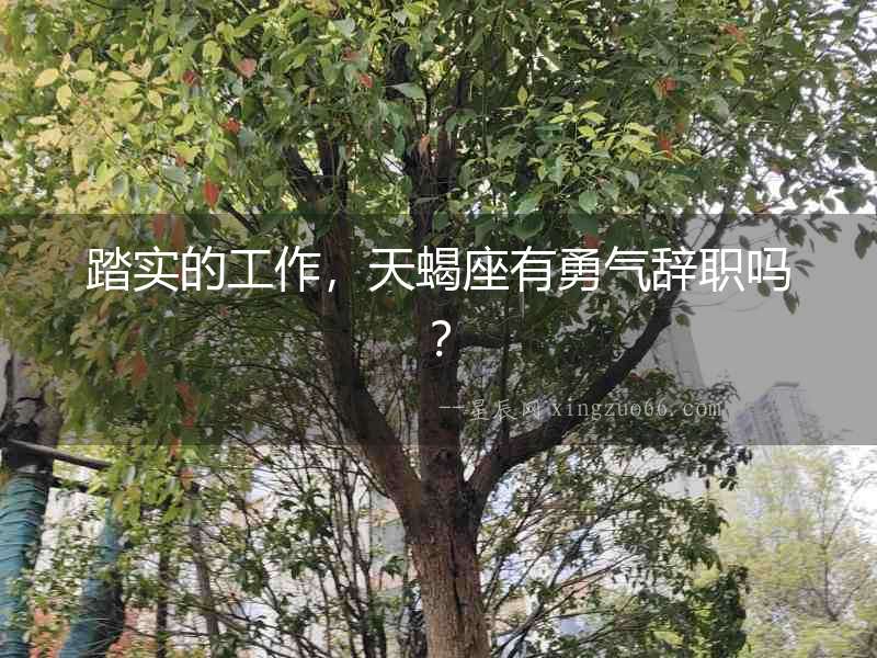踏實的工作，天蝎座有勇氣辭職嗎？