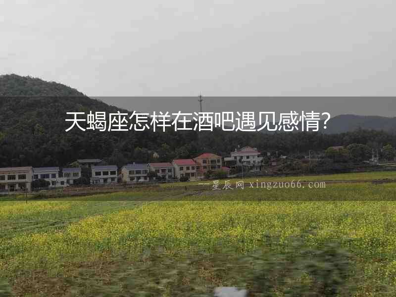 天蝎座怎樣在酒吧遇見感情？