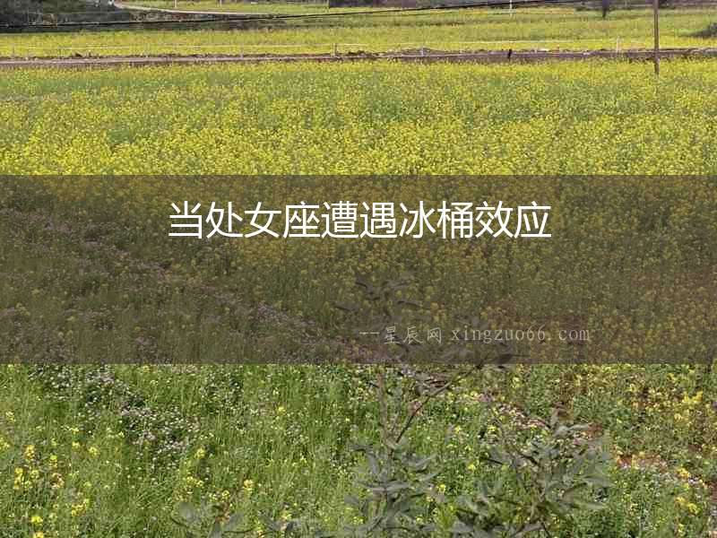 當處女座遭遇冰桶效應