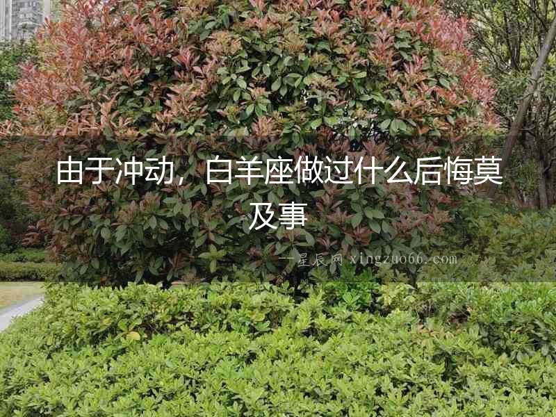 由于沖動，白羊座做過什么后悔莫及事