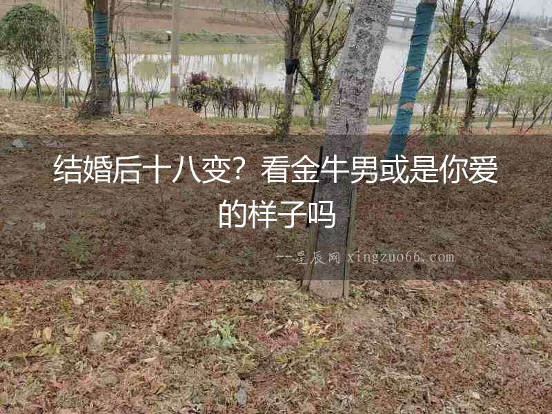 結(jié)婚后十八變？看金牛男或是你愛的樣子嗎