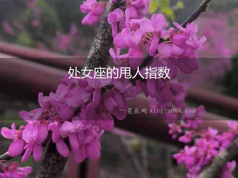 處女座的甩人指數(shù)