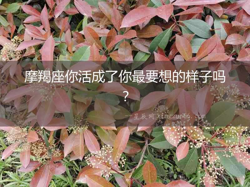 摩羯座你活成了你最要想的樣子嗎？