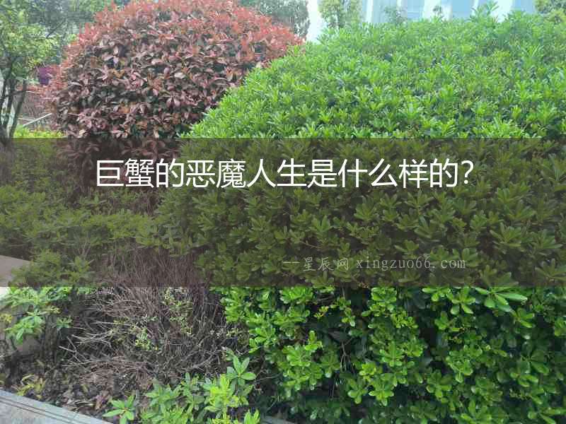 巨蟹的惡魔人生是什么樣的？