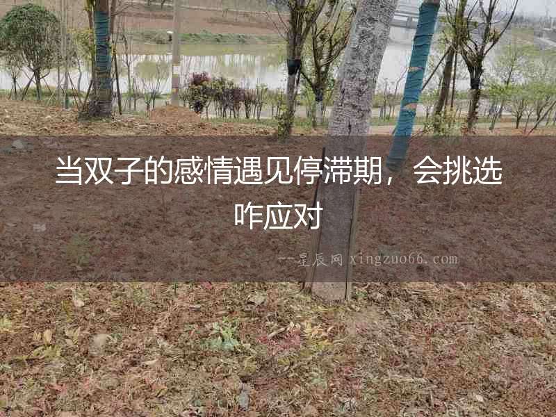 當雙子的感情遇見停滯期，會挑選咋應(yīng)對