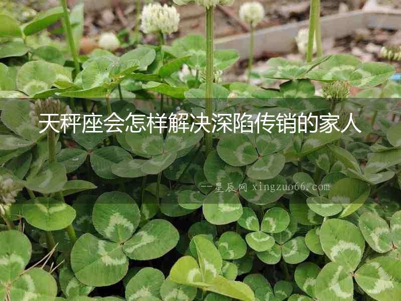 天秤座會怎樣解決深陷傳銷的家人