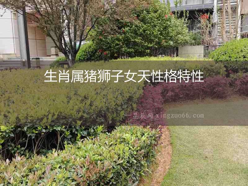 生肖屬豬獅子女天性格特性