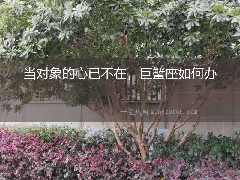 當(dāng)對(duì)象的心已不在，巨蟹座如何辦