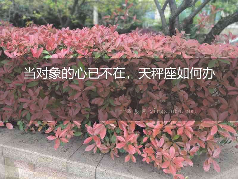 當(dāng)對象的心已不在，天秤座如何辦