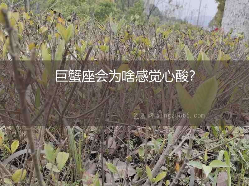 巨蟹座會(huì)為啥感覺心酸？