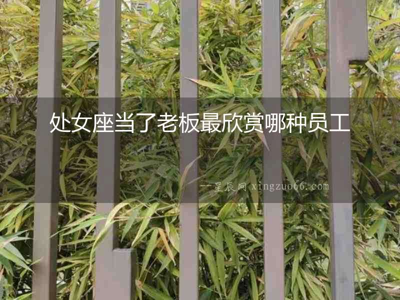 處女座當(dāng)了老板最欣賞哪種員工