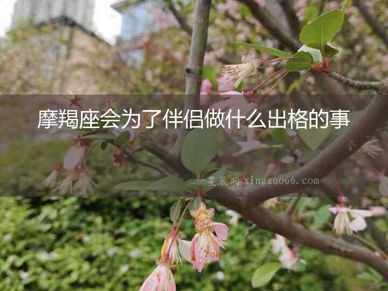 摩羯座會(huì)為了伴侶做什么出格的事