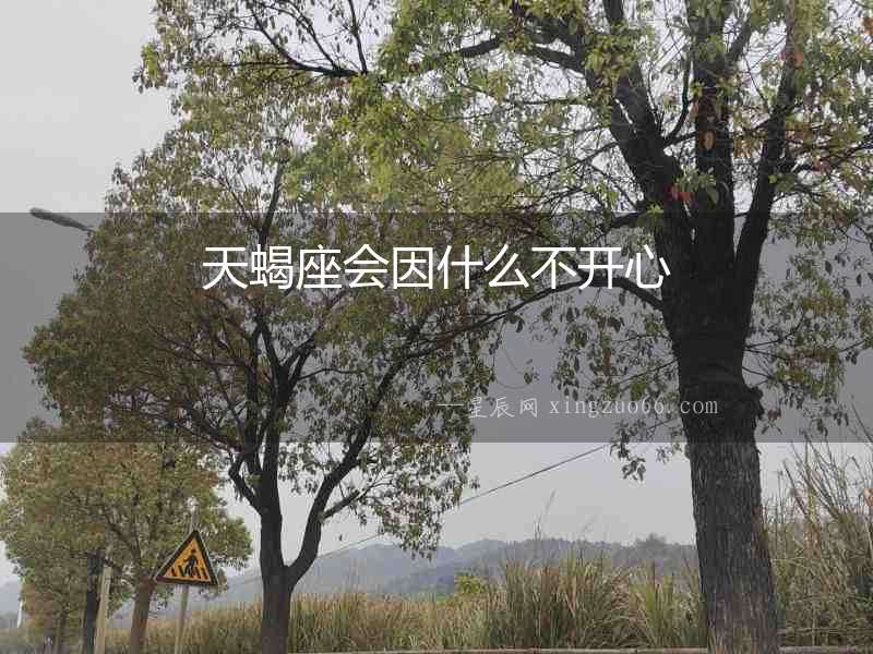 天蝎座會因什么不開心