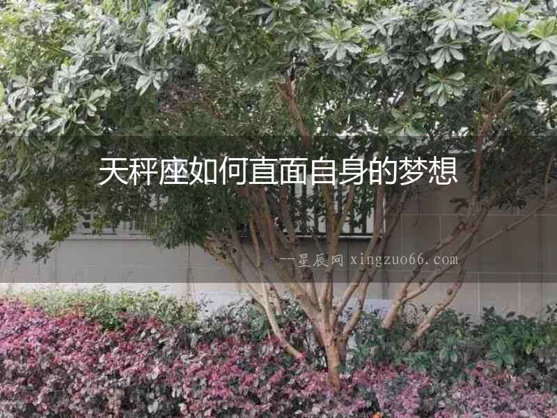 天秤座如何直面自身的夢(mèng)想