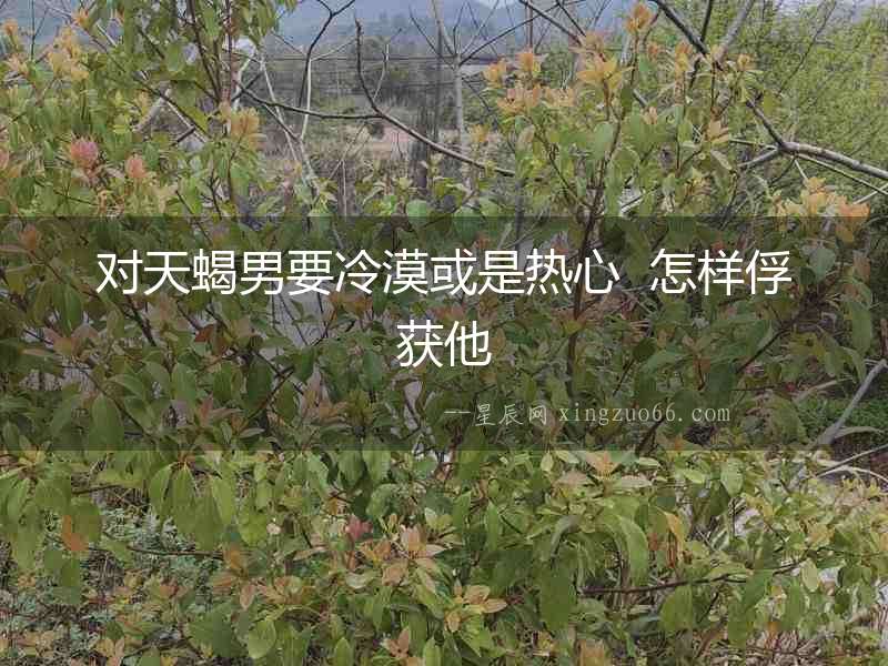 對天蝎男要冷漠或是熱心  怎樣俘獲他