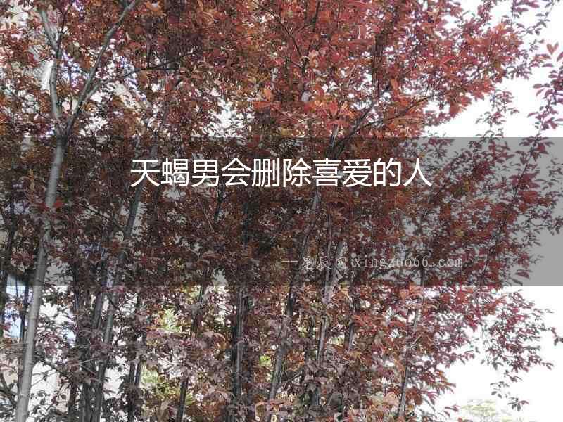 天蝎男會刪除喜愛的人