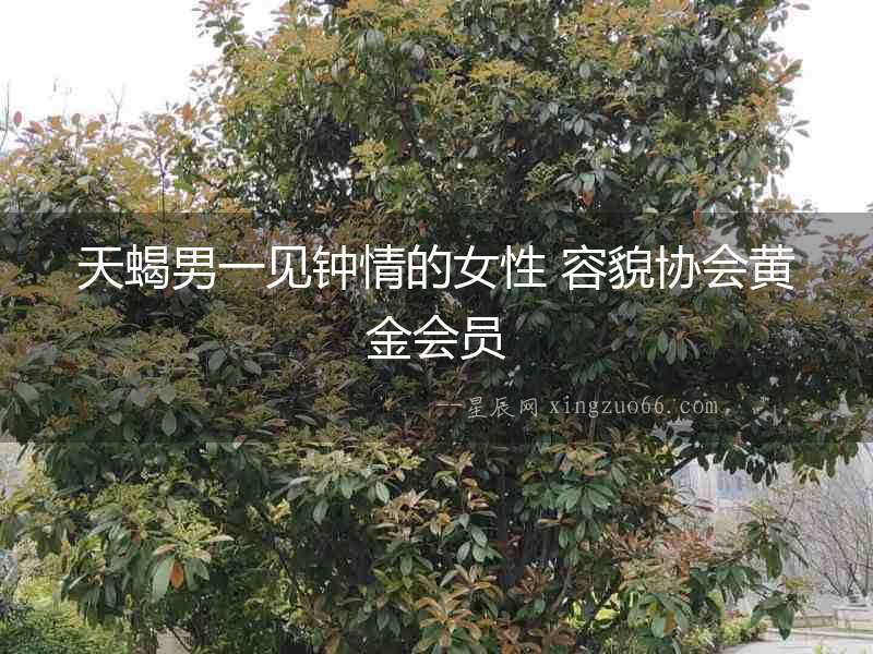 天蝎男一見(jiàn)鐘情的女性 容貌協(xié)會(huì)黃金會(huì)員