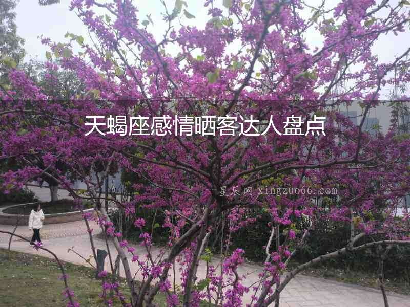 天蝎座感情曬客達(dá)人盤點(diǎn)