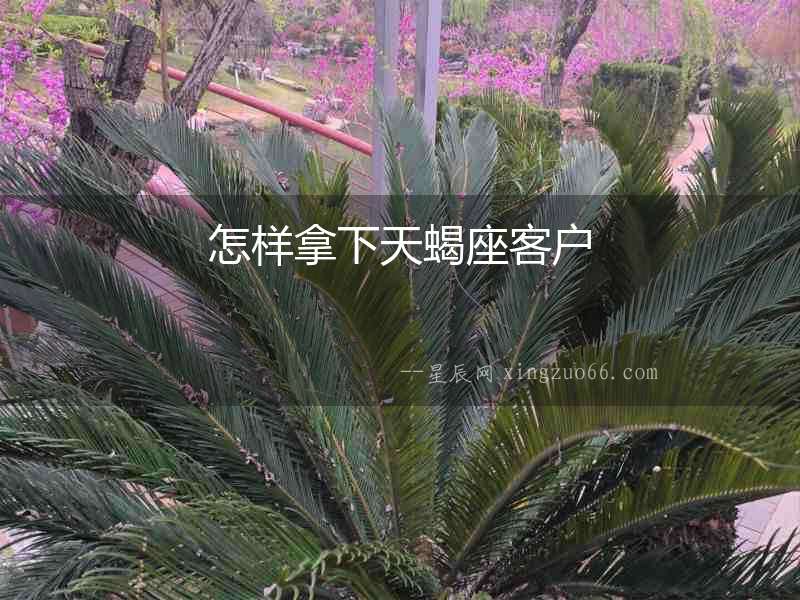怎樣拿下天蝎座客戶