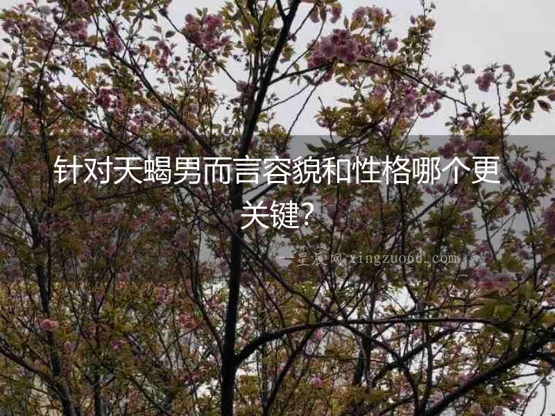針對天蝎男而言容貌和性格哪個(gè)更關(guān)鍵？