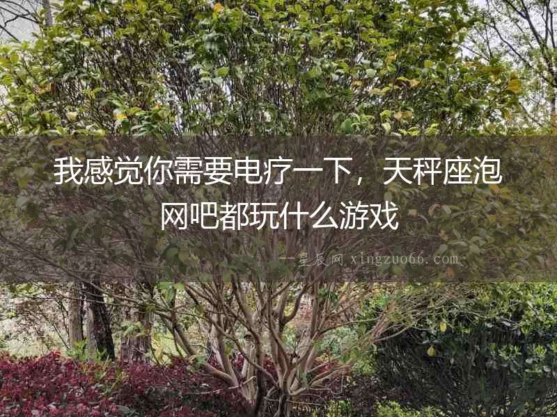 我感覺你需要電療一下，天秤座泡網吧都玩什么游戲