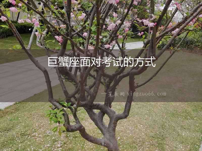 巨蟹座面對(duì)考試的方式