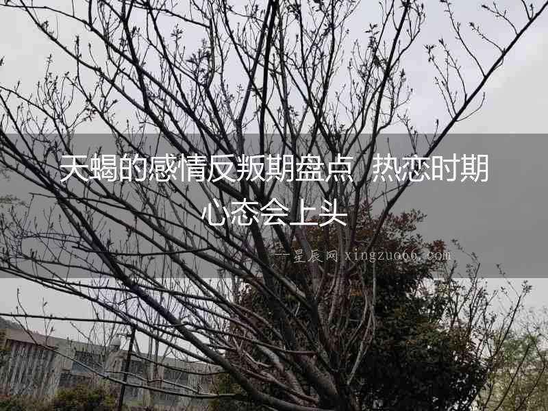 天蝎的感情反叛期盤點(diǎn)  熱戀時(shí)期心態(tài)會(huì)上頭