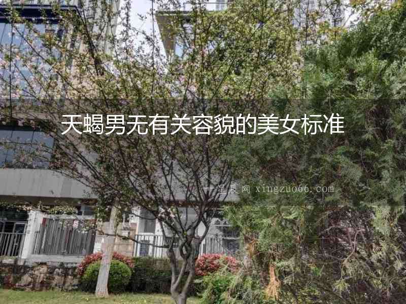 天蝎男無有關容貌的美女標準