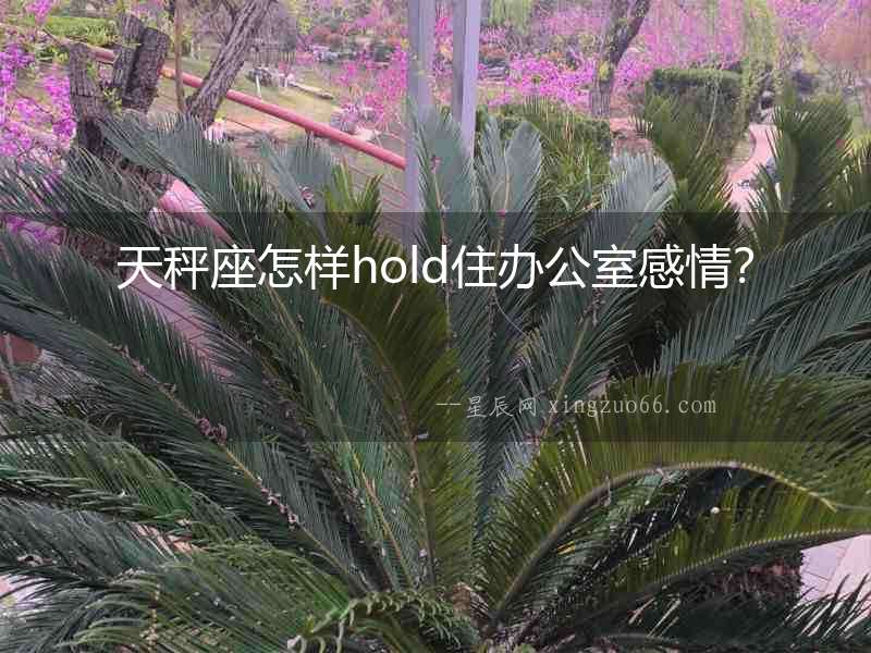 天秤座怎樣hold住辦公室感情？