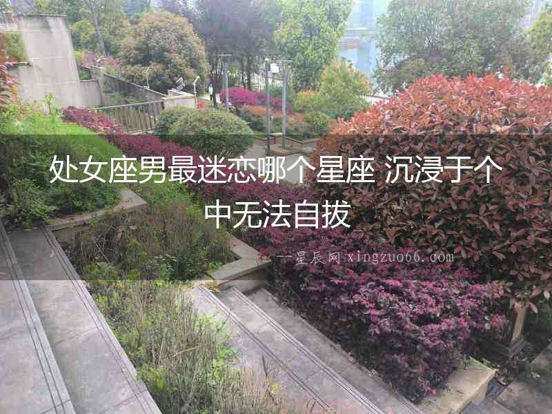 處女座男最迷戀哪個(gè)星座 沉浸于個(gè)中無(wú)法自拔