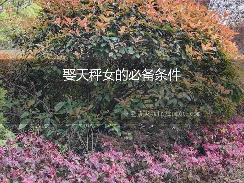 娶天秤女的必備條件