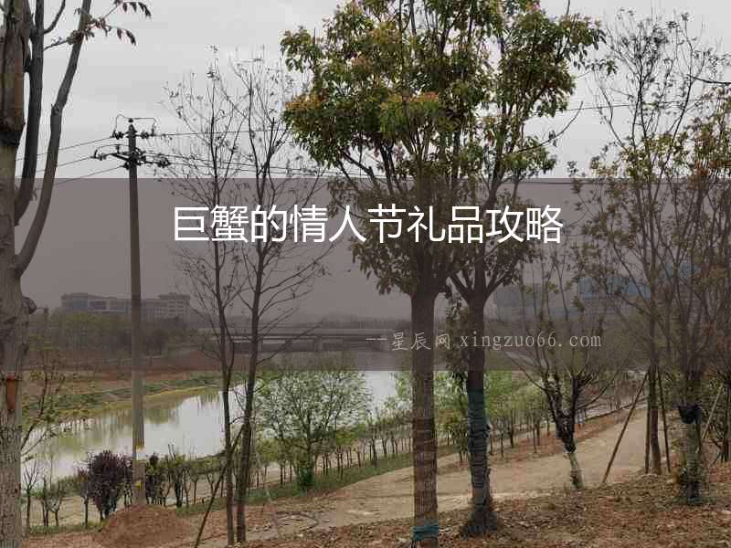 巨蟹的情人節禮品攻略