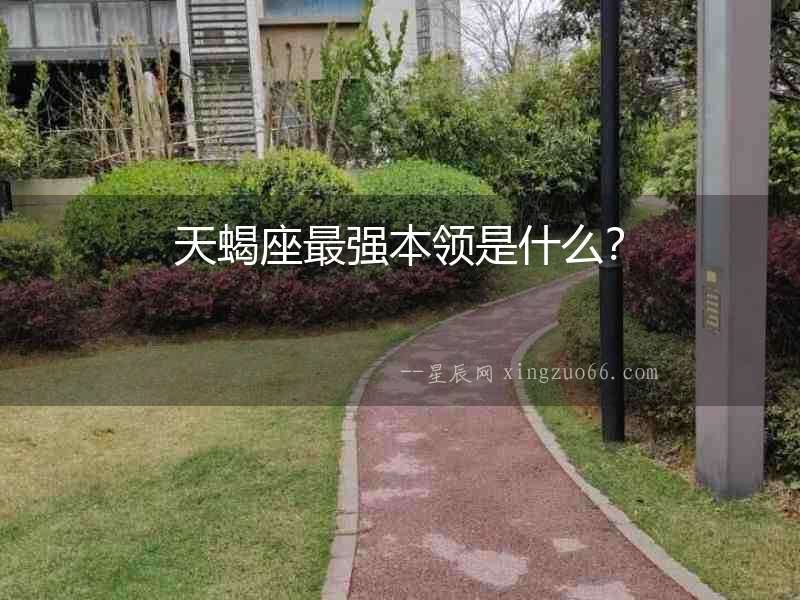 天蝎座最強本領是什么？