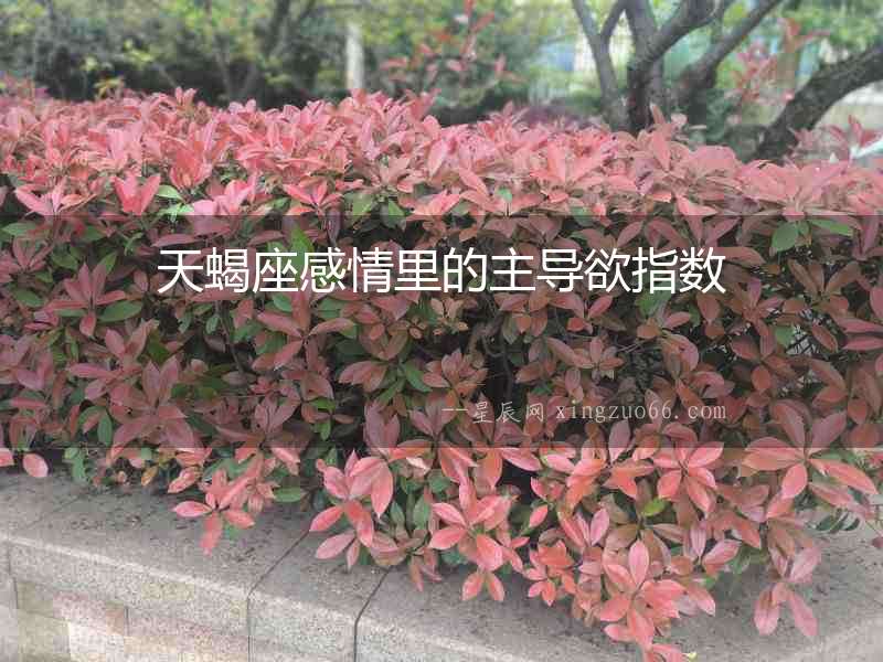 天蝎座感情里的主導(dǎo)欲指數(shù)