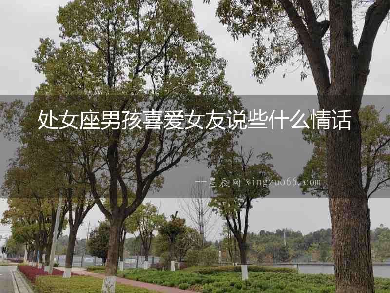 處女座男孩喜愛女友說些什么情話
