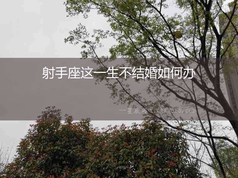 射手座這一生不結婚如何辦